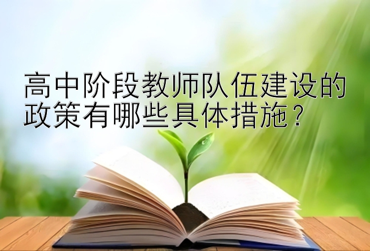 高中阶段教师队伍建设的政策有哪些具体措施？