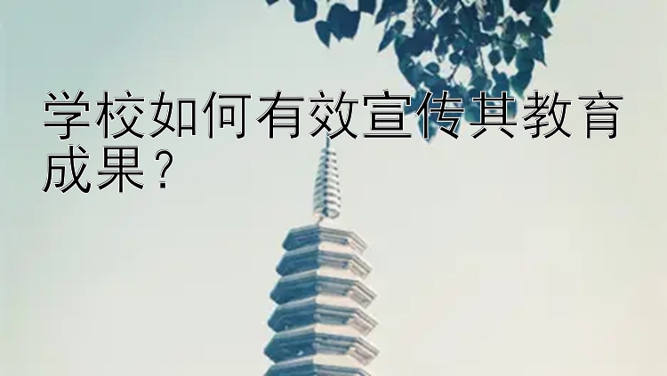 学校如何有效宣传其教育成果？