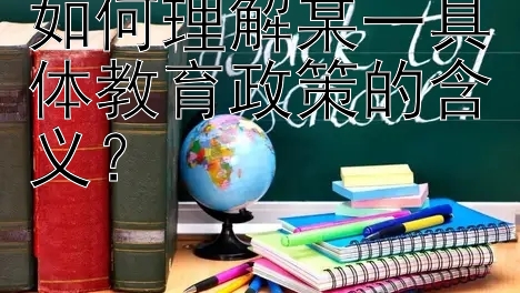 如何理解某一具体教育政策的含义？