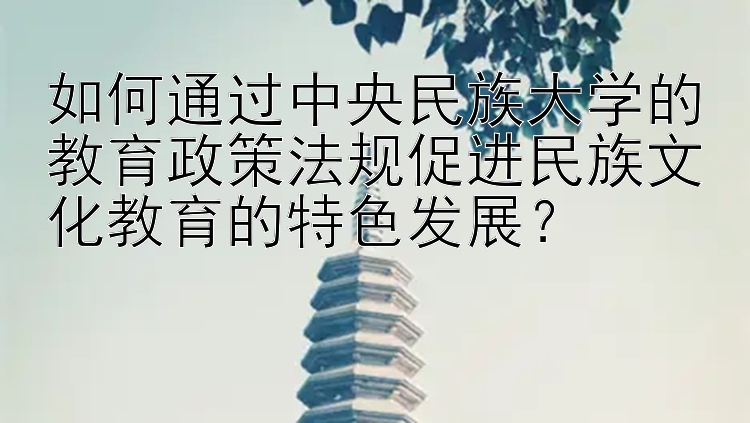 如何通过中央民族大学的教育政策法规促进民族文化教育的特色发展？