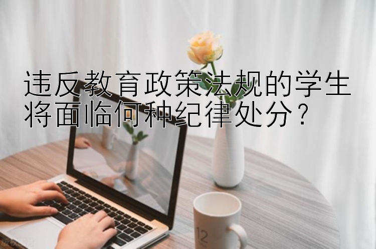 违反教育政策法规的学生将面临何种纪律处分？