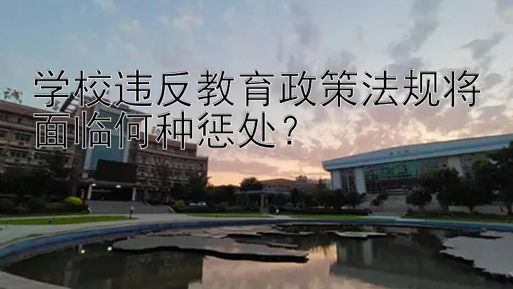 学校违反教育政策法规将面临何种惩处？