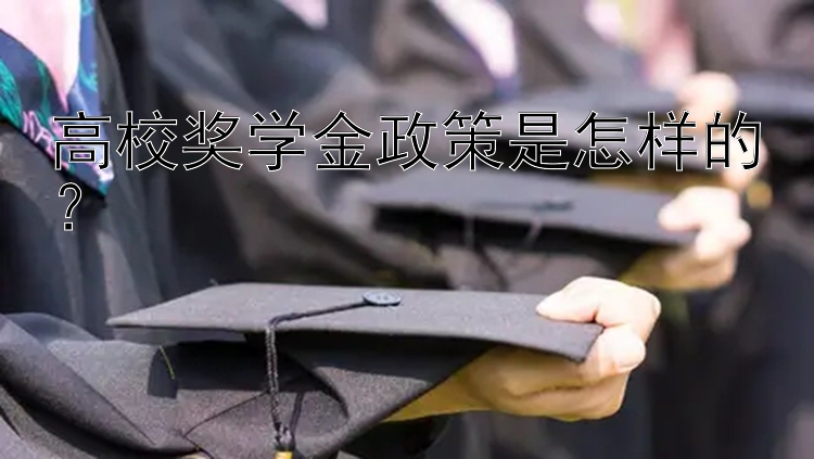 高校奖学金政策是怎样的？