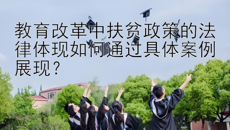 教育改革中扶贫政策的法律体现如何通过具体案例展现？