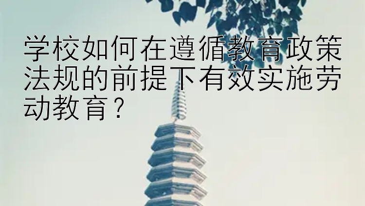 学校如何在遵循教育政策法规的前提下有效实施劳动教育？