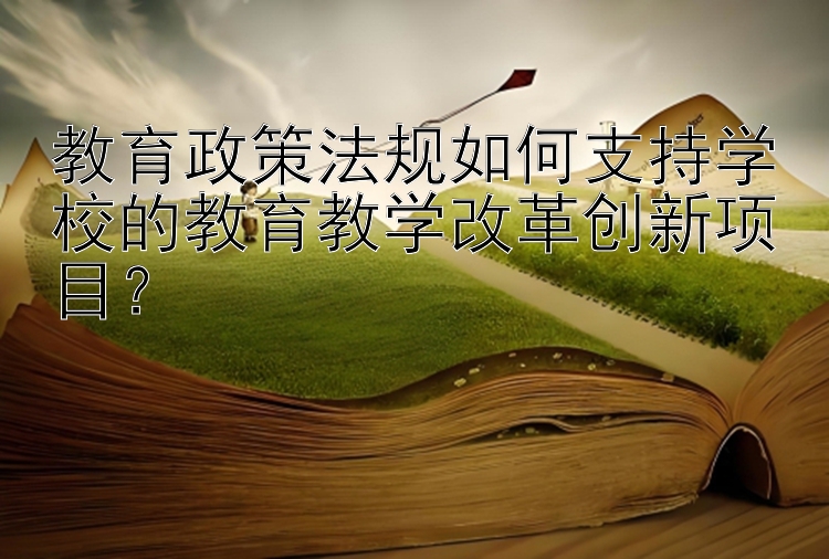 教育政策法规如何支持学校的教育教学改革创新项目？