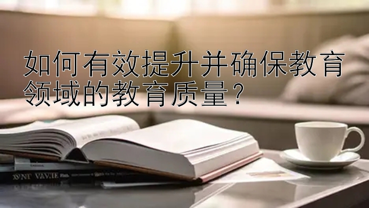 如何有效提升并确保教育领域的教育质量？