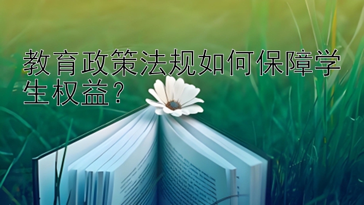 教育政策法规如何保障学生权益？