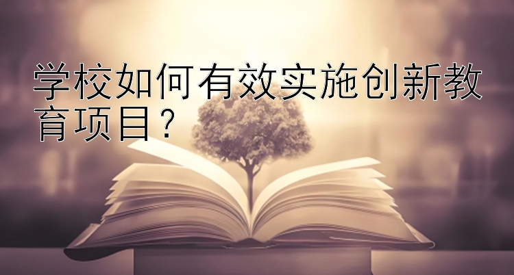 学校如何有效实施创新教育项目？