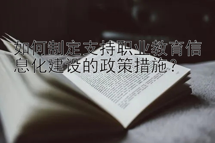 如何制定支持职业教育信息化建设的政策措施？