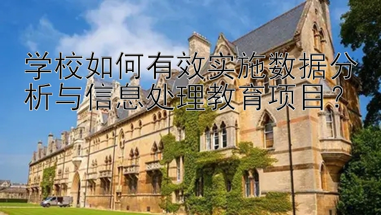 学校如何有效实施数据分析与信息处理教育项目？