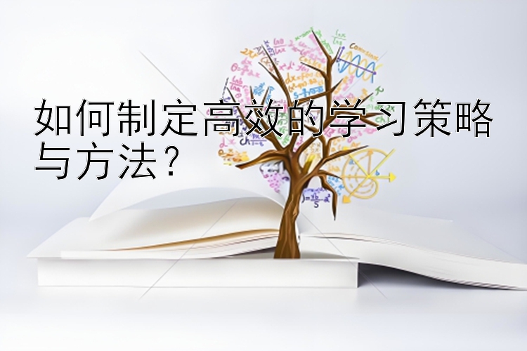 如何制定高效的学习策略与方法？